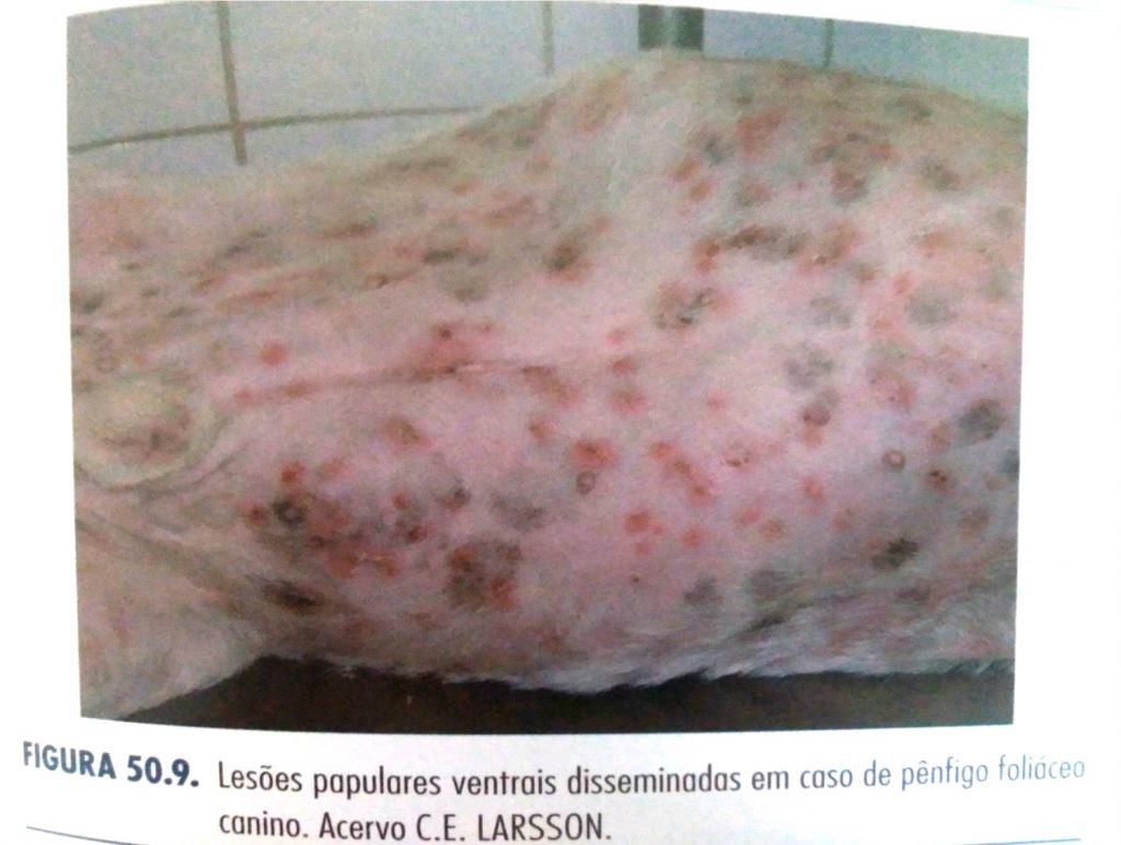 Fonte: Tratado de Medicina Externa - Dermatologia Veterinária. Carlos Eduardo Larsson; Ronaldo Lucas. Interbook, 2016. 